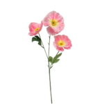 0001