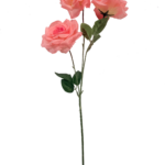 0009