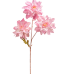 0024