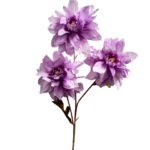 0025