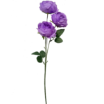0029