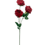 0030