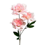 0038