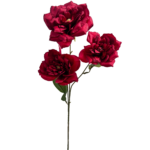 0039