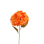 0046