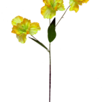 0087