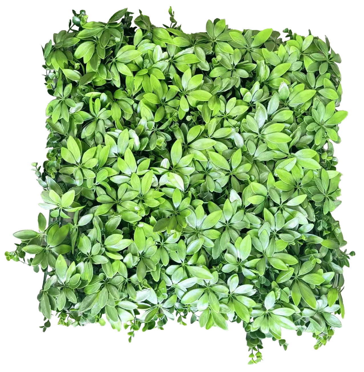 Panel de Follaje Artificial Premium – Muro Verde de Boj y Hojas Silvestres