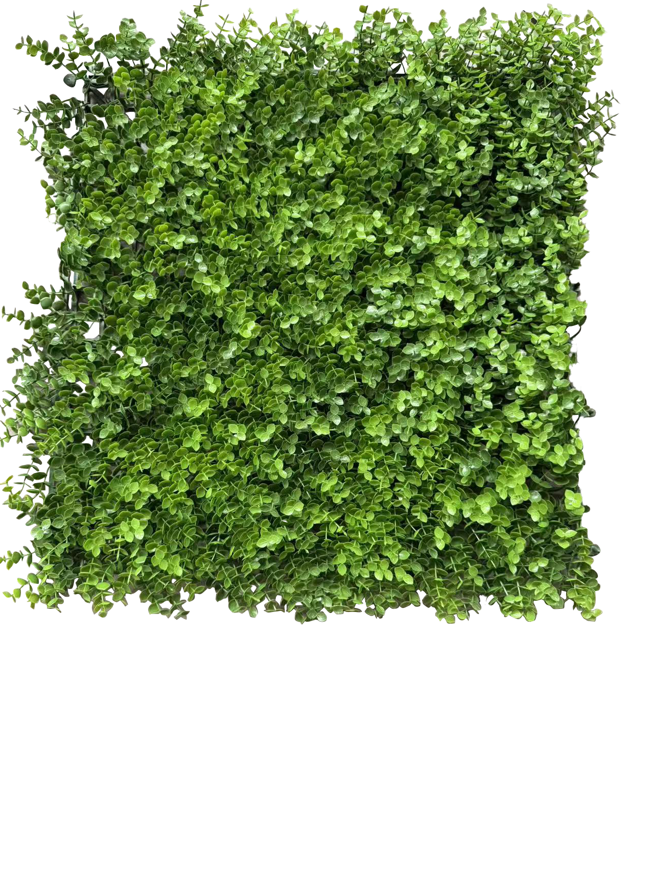Panel de Follaje Artificial Premium – Muro Verde de Eucalipto y Brotes Silvestres
