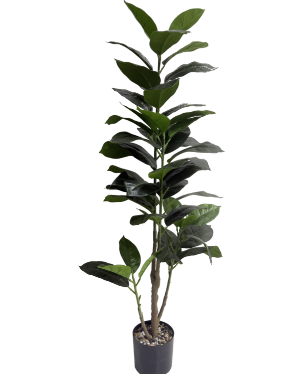 Planta / Árbol Artificial de Ficus Elastica (Gomero) Premium – Elegancia Botánica en Verde Bosque, Verde Oliva y Tallo Leñoso con Base de Piedras
