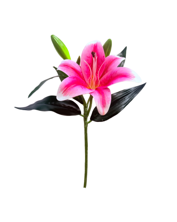 Vara Artificial de Lirio Individual Premium – Elegancia Floral en Tono Rosa Fucsia y Bordes Blancos