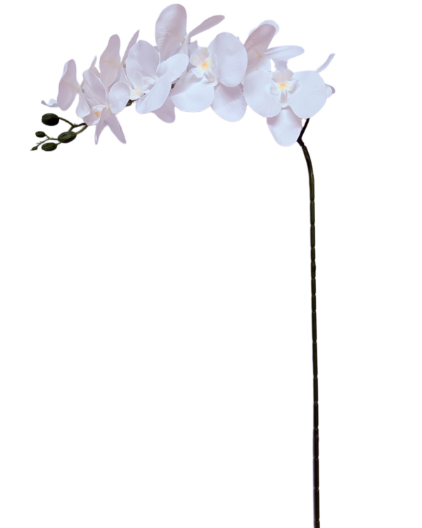 Vara Artificial de Orquídea Phalaenopsis Individual Premium – Elegancia Floral en Tono Blanco Puro y Matices Amarillos