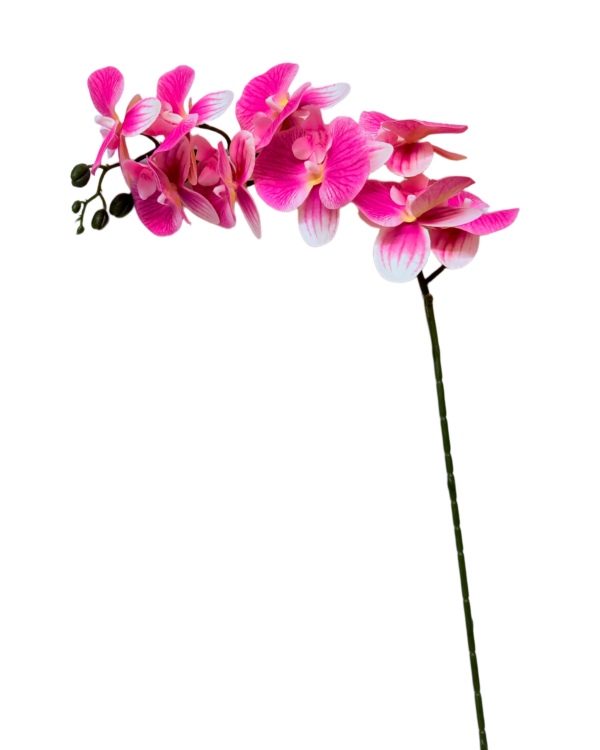 Vara Artificial de Orquídea Phalaenopsis Individual Premium – Elegancia Floral en Tono Fucsia Vibrante y Borde Blanco