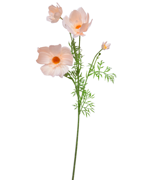 Vara Artificial de Cosmos Individual Premium – Elegancia Floral en Tono Durazno Pastel y Centro Amarillo Cálido