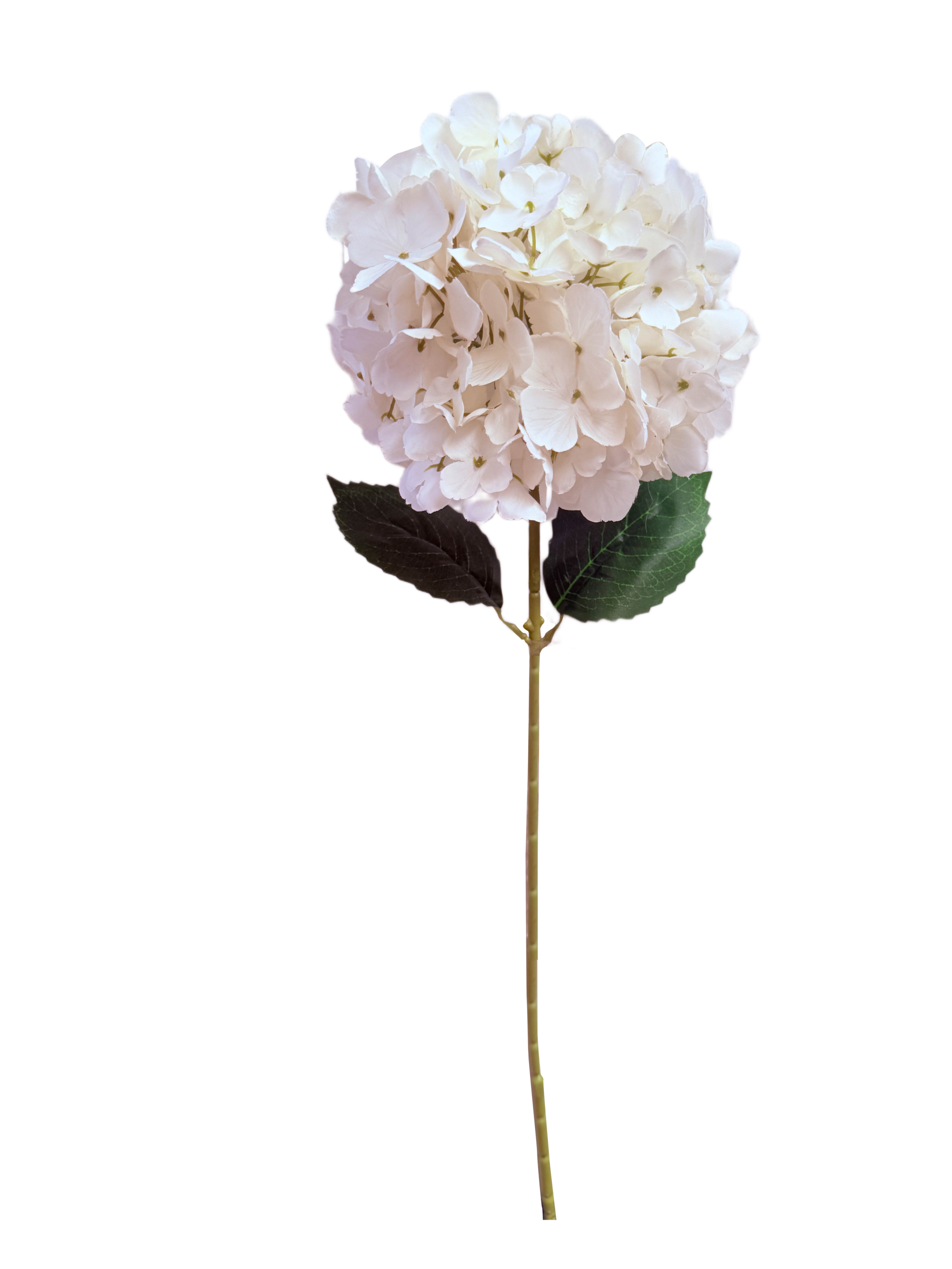 Vara Artificial de Hortensia Individual Premium – Elegancia Floral en Tono Blanco Puro / Marfil Sereno