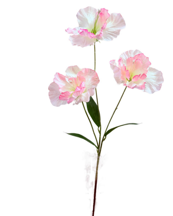 Vara Artificial de Eustoma (Lisianto) de Tres Flores Premium – Elegancia Floral en Tono Blanco y Rosa Matizado