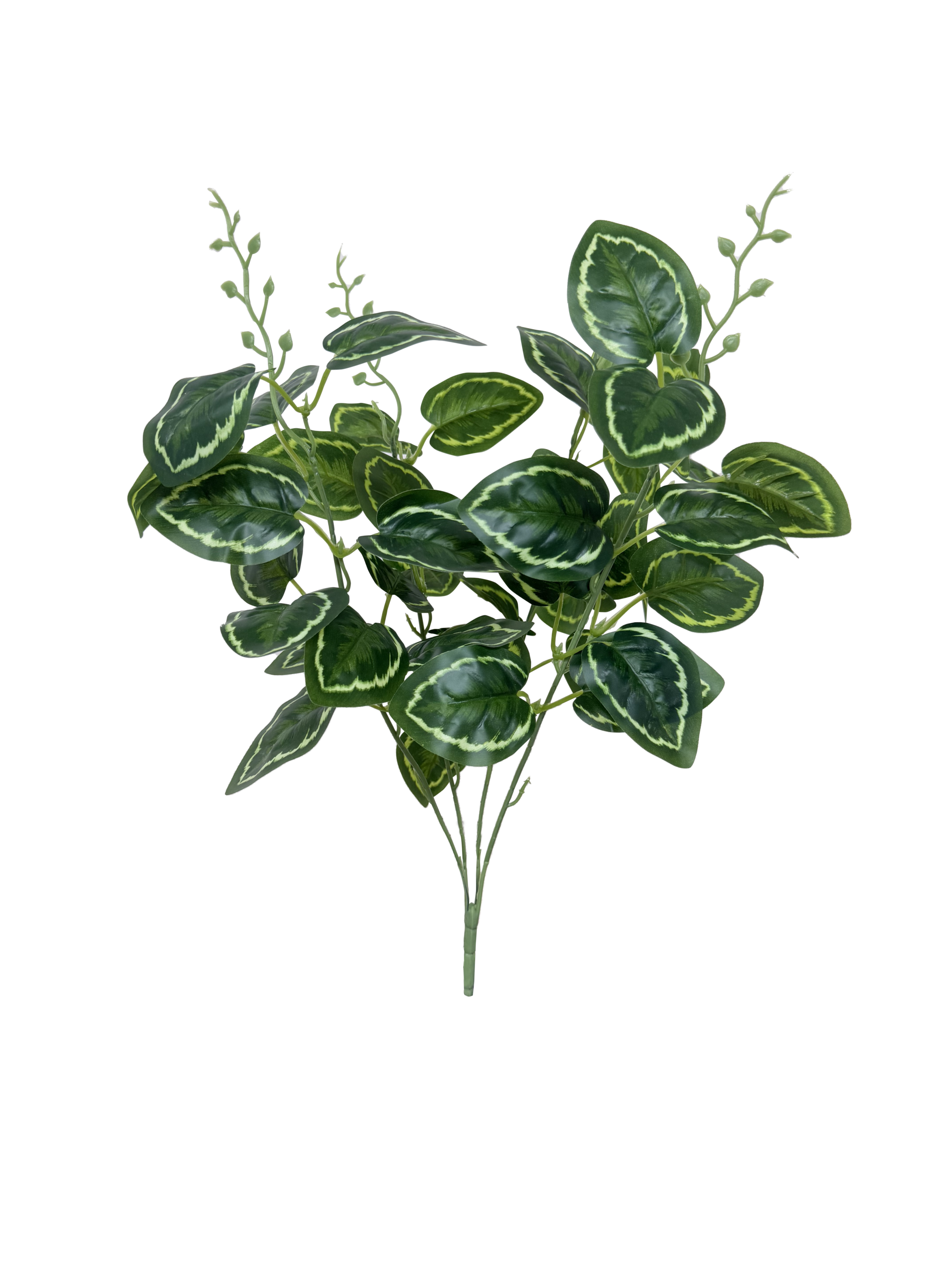 Planta de Calathea Artificial Premium – Elegancia Botánica en Verde Esmeralda, Verde Hoja y Bordes Variegados en Amarillo Limón