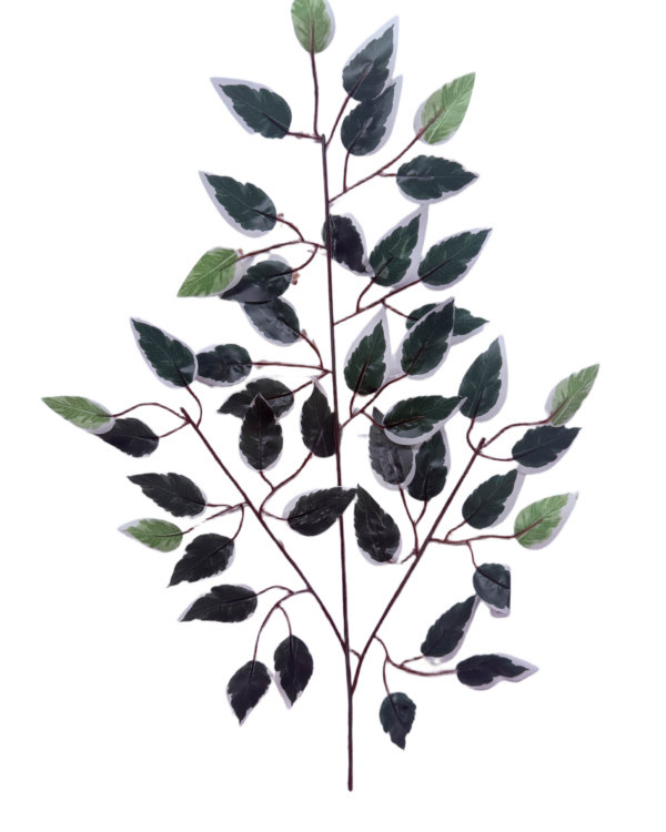 Rama de Ficus Benjamina Variegado Artificial Premium – Elegancia Botánica en Verde Bosque, Verde Claro y Bordes Blancos