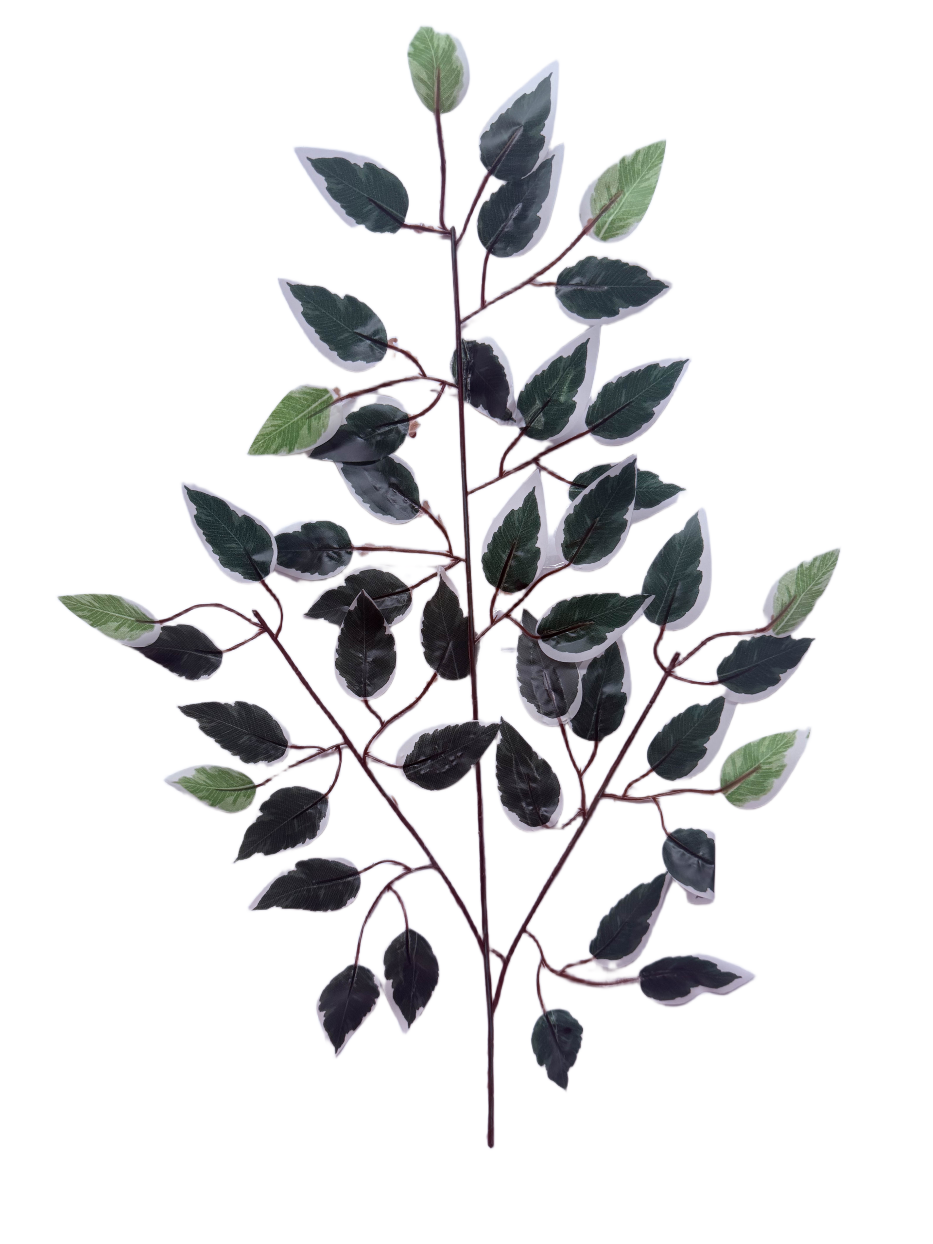 Rama de Ficus Benjamina Variegado Artificial Premium – Elegancia Botánica en Verde Bosque, Verde Claro y Bordes Blancos