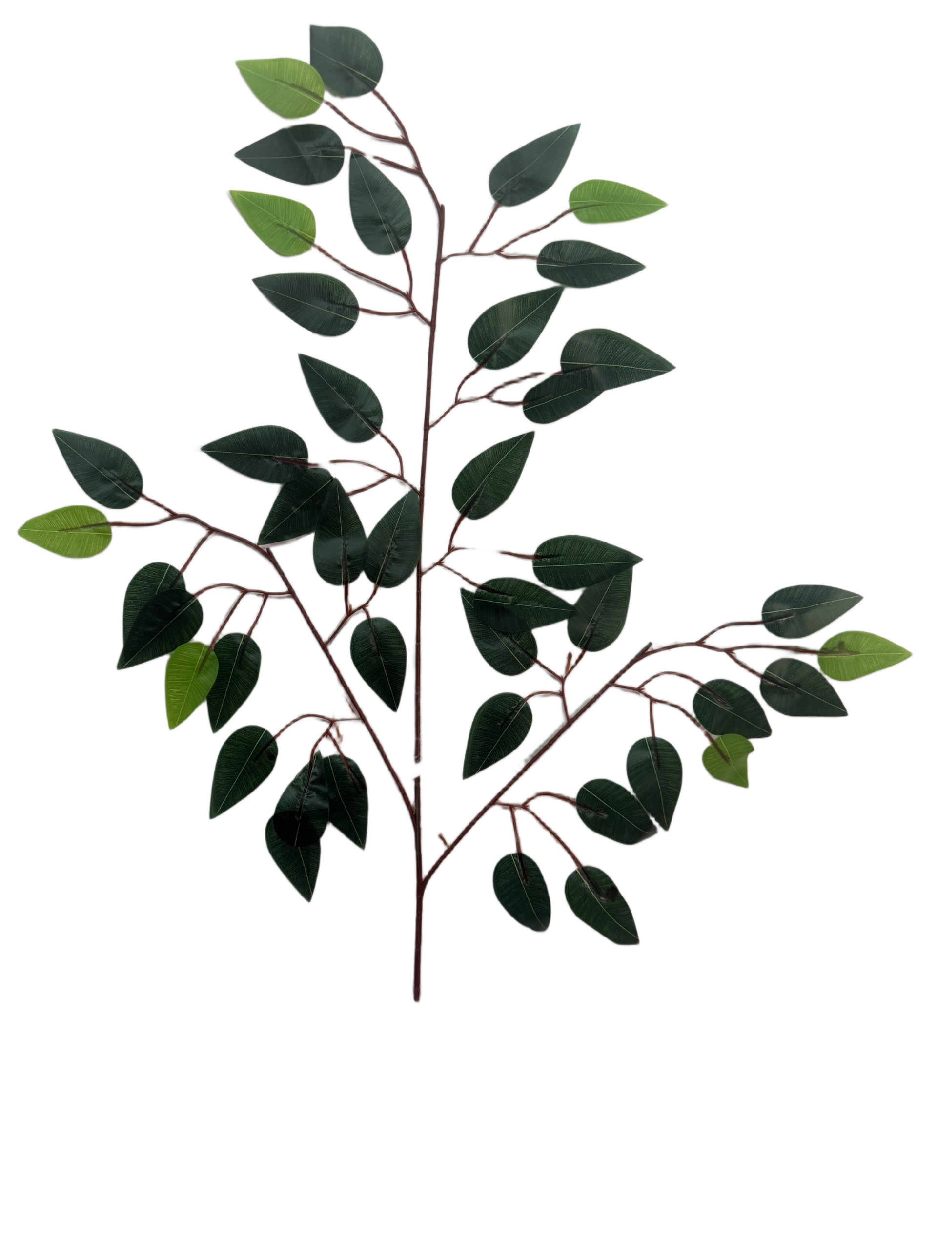 Rama de Ficus Benjamina Artificial Premium – Elegancia Botánica en Verde Oscuro, Verde Bosque y Brotes en Verde Lima