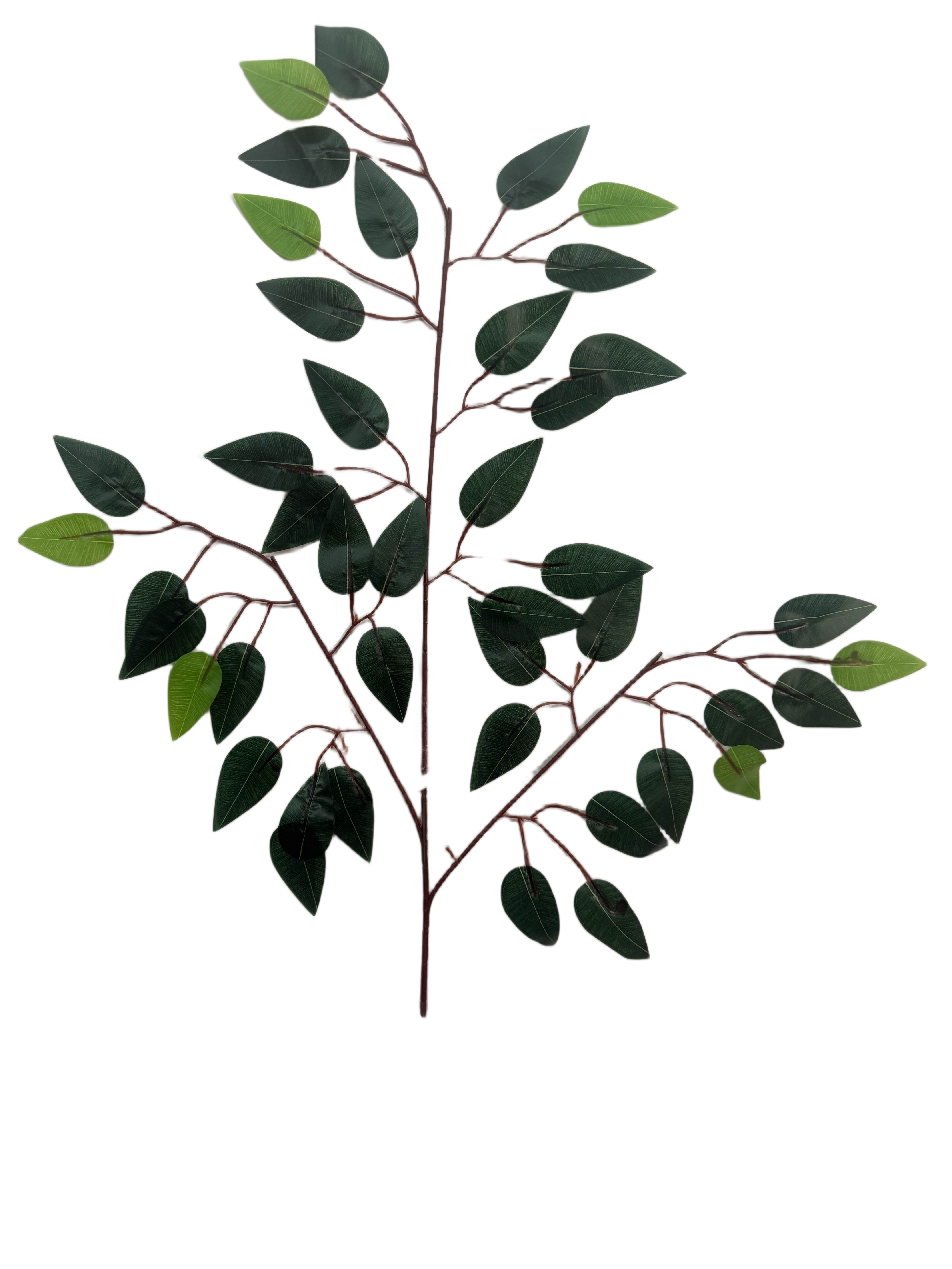 Rama de Ficus Benjamina Artificial Premium – Elegancia Botánica en Verde Oscuro, Verde Bosque y Brotes en Verde Lima
