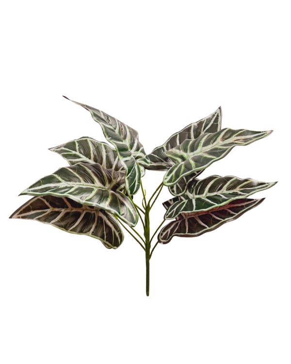 Planta de Alocasia (Oreja de Elefante) Artificial Premium – Elegancia Botánica en Verde Oscuro, Envés Borgoña y Vetas Blancas Pronunciadas
