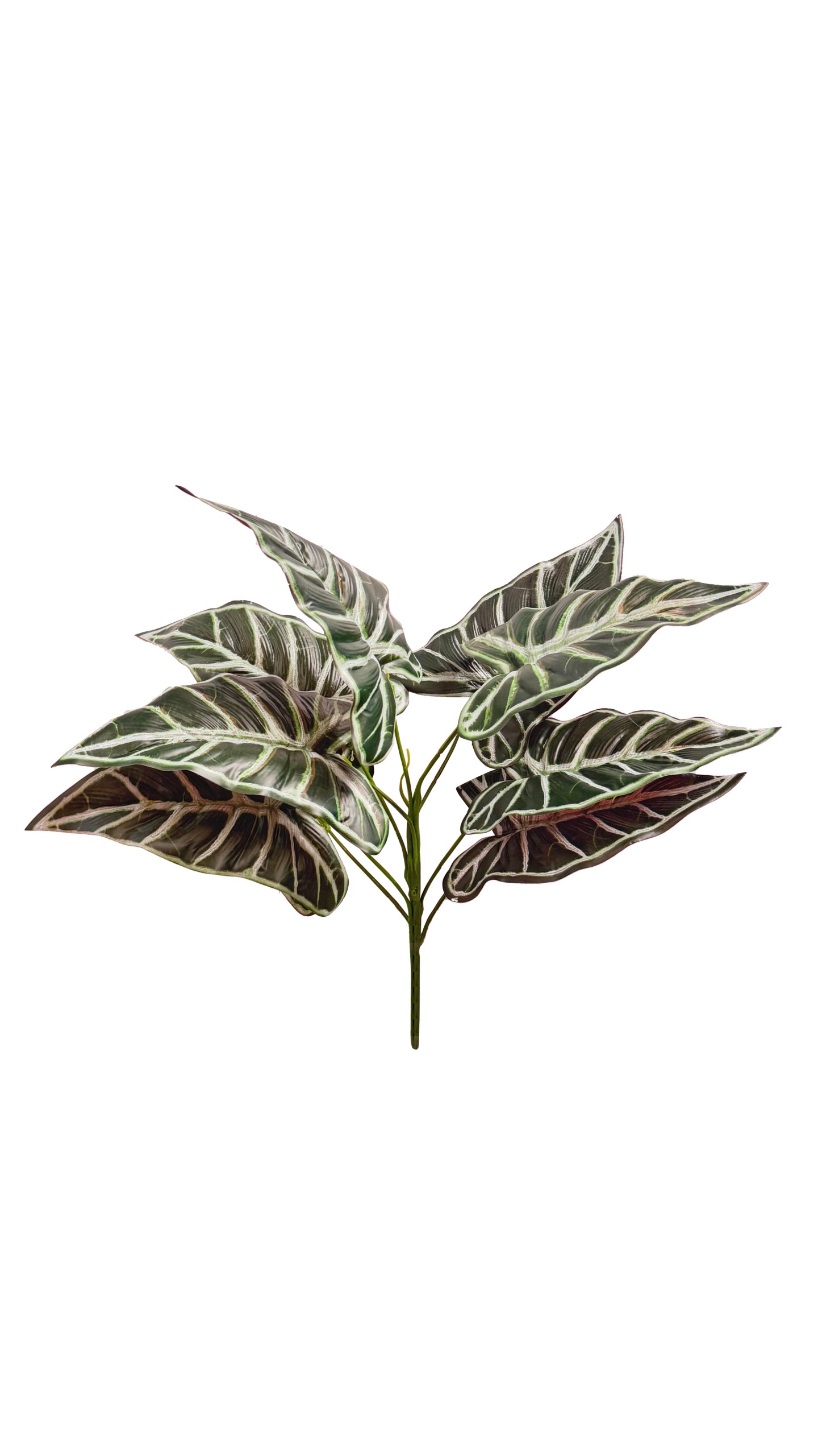 Planta de Alocasia (Oreja de Elefante) Artificial Premium – Elegancia Botánica en Verde Oscuro, Envés Borgoña y Vetas Blancas Pronunciadas