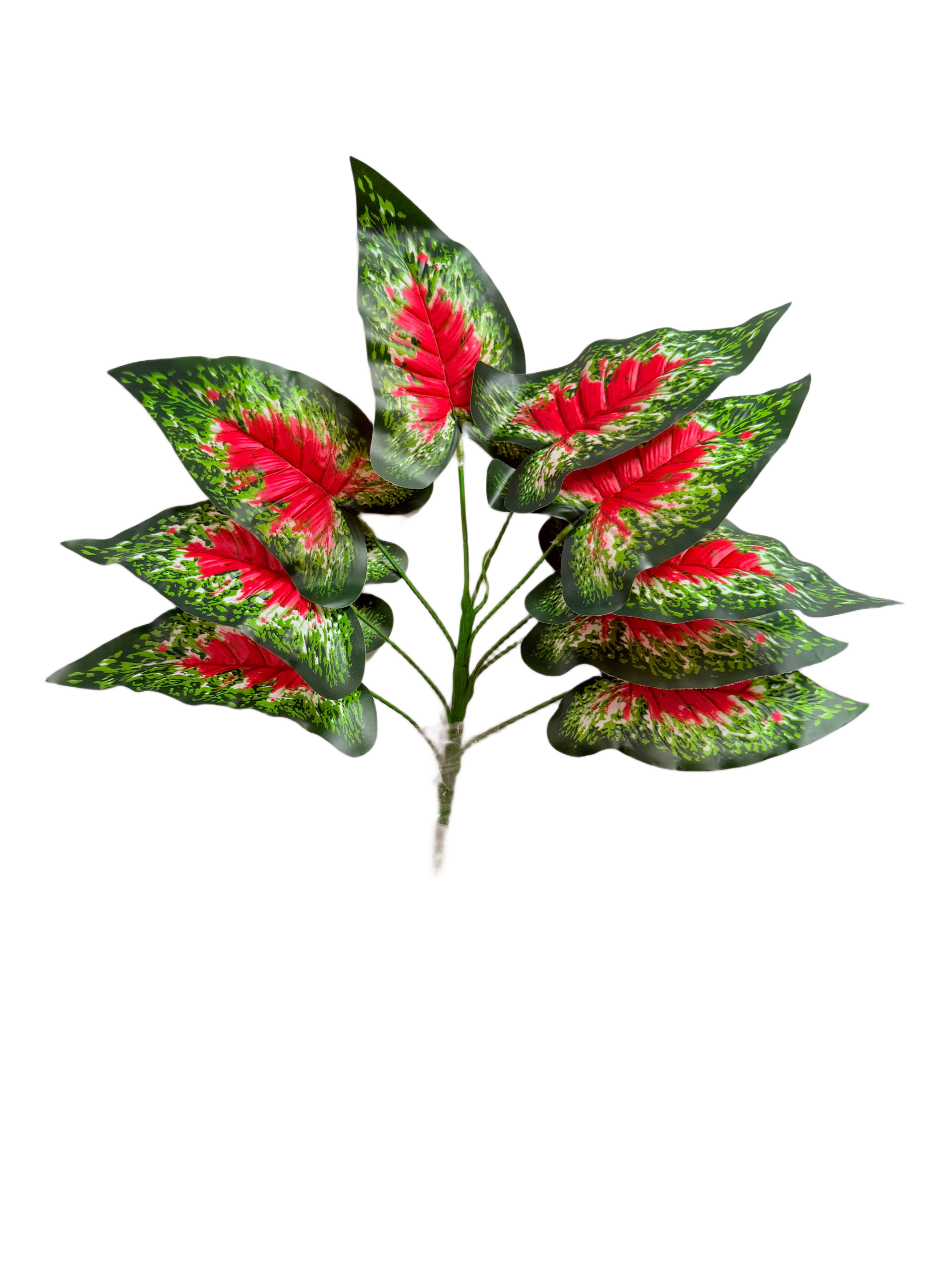 Planta de Caladium (Paleta de Pintor) Artificial Premium – Elegancia Botánica en Rojo Rosado, Verde Bosque y Vetas Moteadas en Blanco Crema