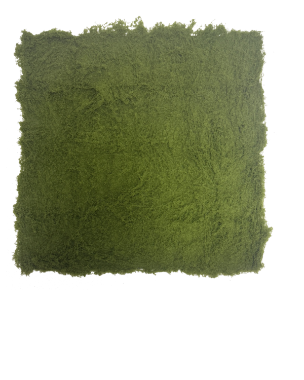 Panel / Placa de Musgo Preservado / Artificial Premium – Elegancia Botánica en Verde Musgo, Verde Oliva y Matices Verde Bosque