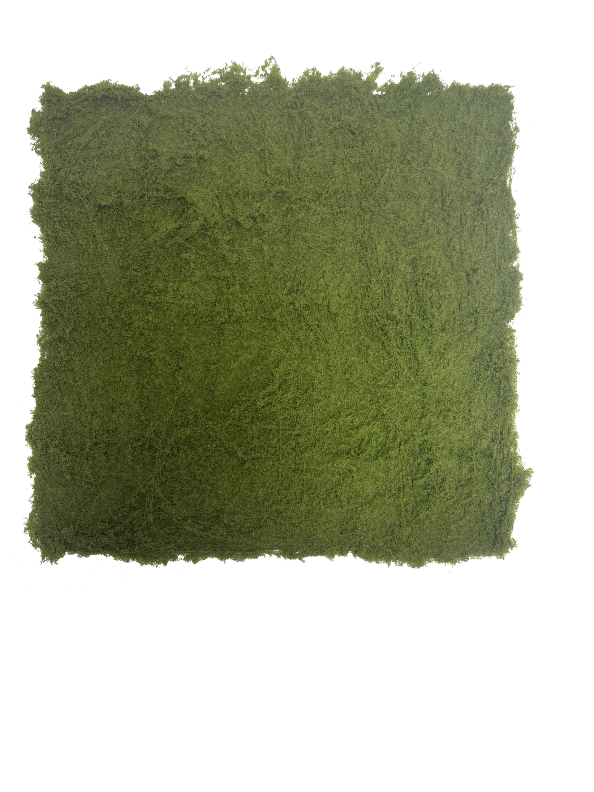 Panel / Placa de Musgo Preservado / Artificial Premium – Elegancia Botánica en Verde Musgo, Verde Oliva y Matices Verde Bosque